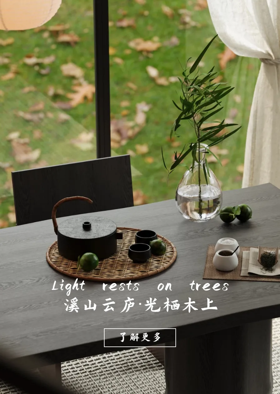 光栖木上 · 设计图像